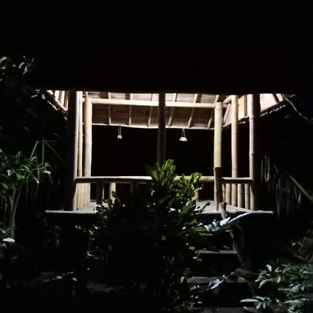 Bali Mountain Forest Cabin Penebel 外观 照片