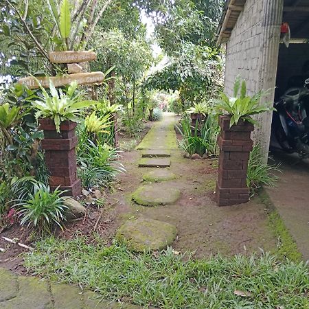 Bali Mountain Forest Cabin Penebel 外观 照片