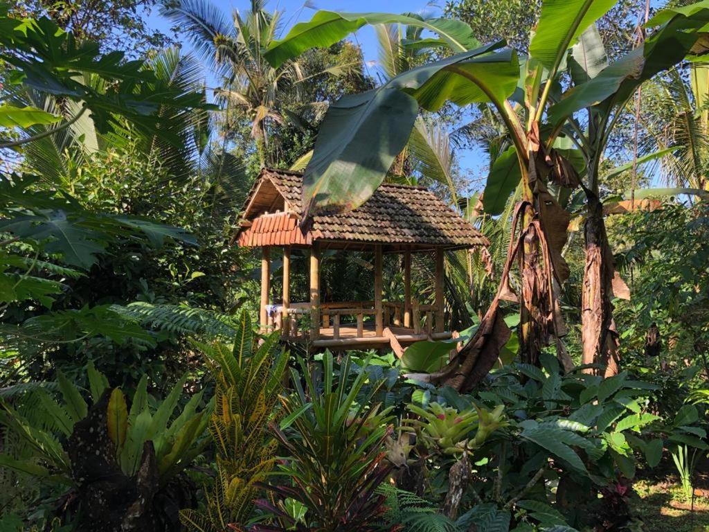 Bali Mountain Forest Cabin Penebel 外观 照片