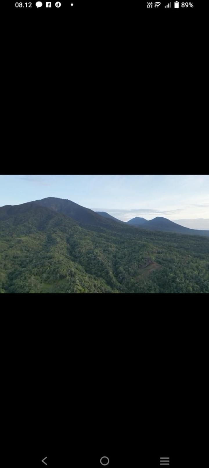 Bali Mountain Forest Cabin Penebel 外观 照片