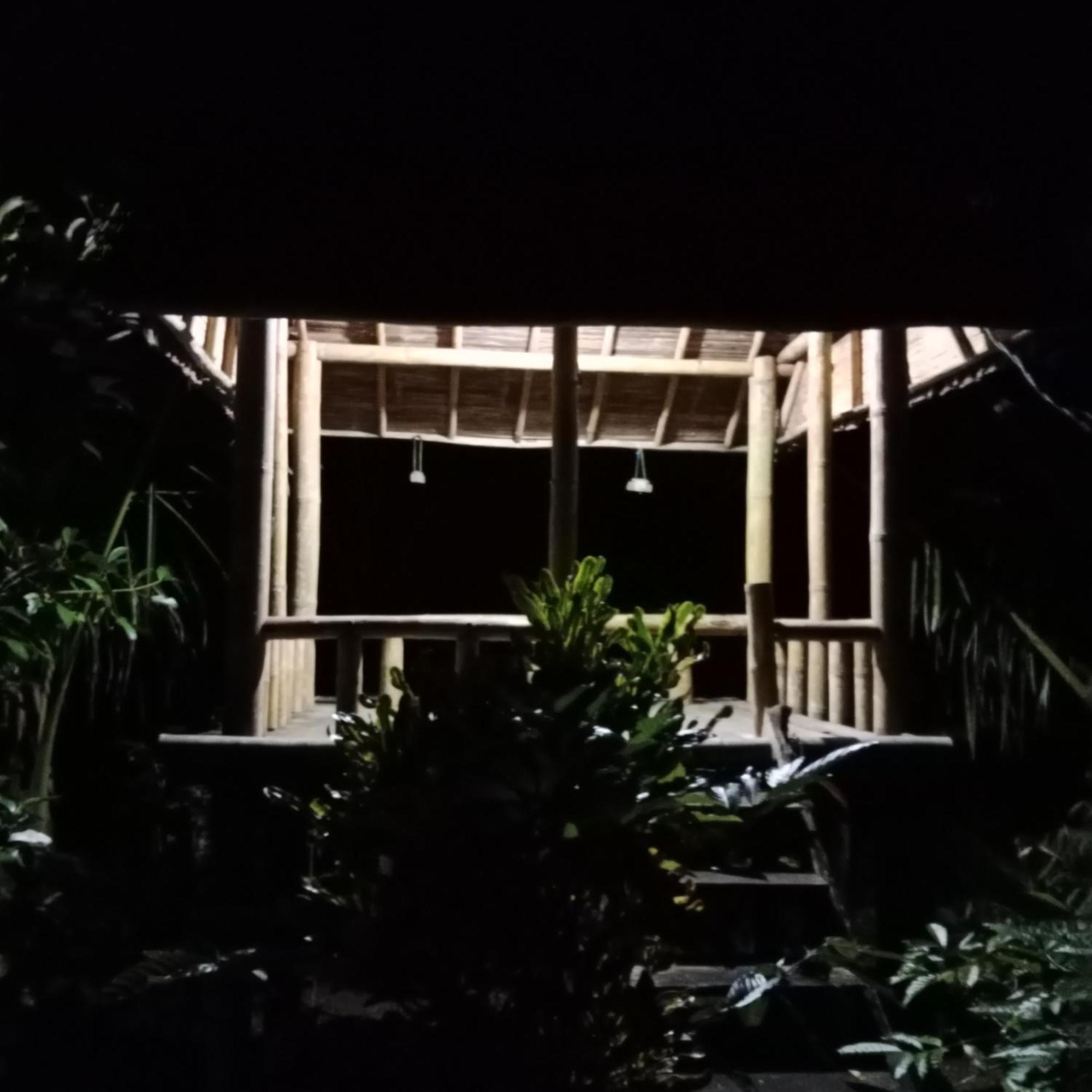 Bali Mountain Forest Cabin Penebel 外观 照片