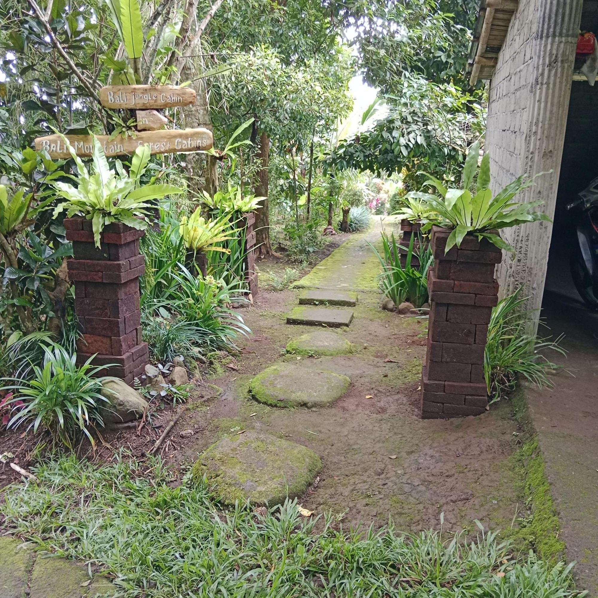 Bali Mountain Forest Cabin Penebel 客房 照片
