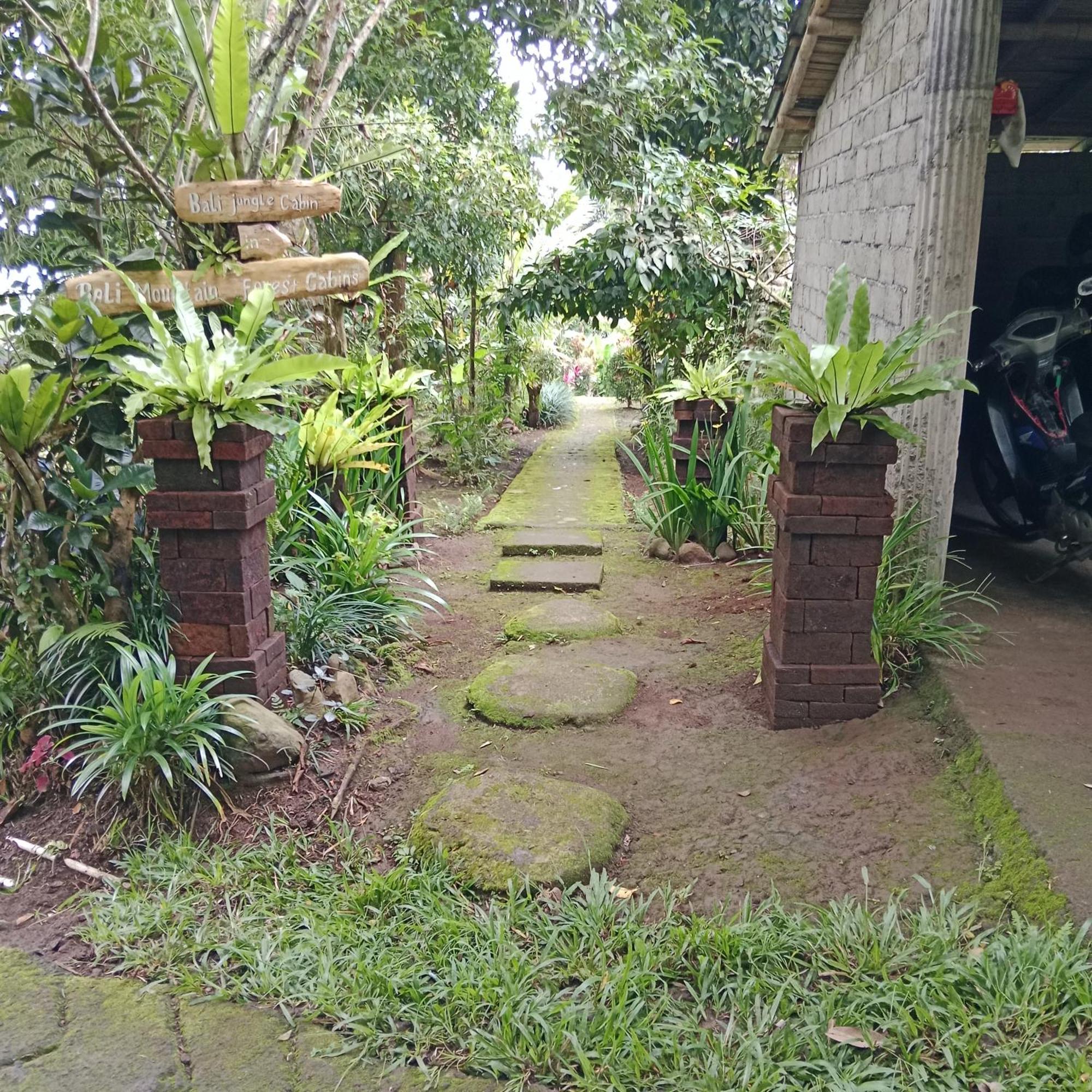 Bali Mountain Forest Cabin Penebel 外观 照片
