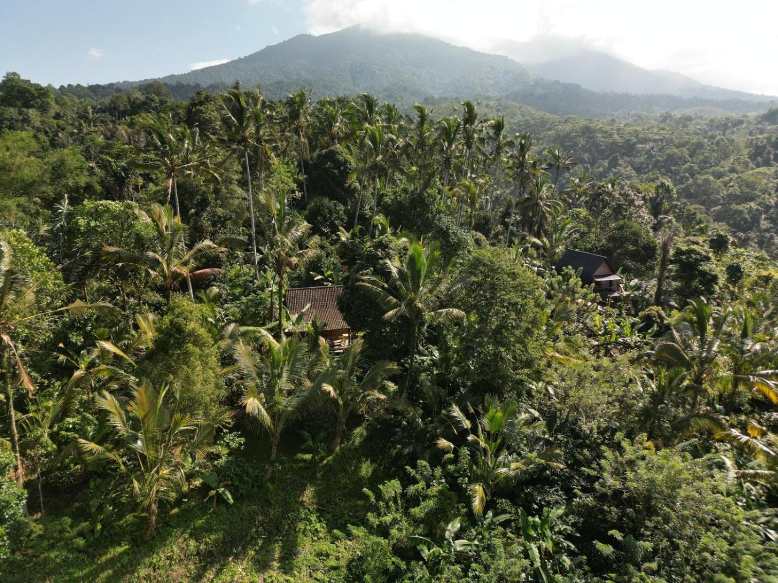 Bali Mountain Forest Cabin Penebel 客房 照片