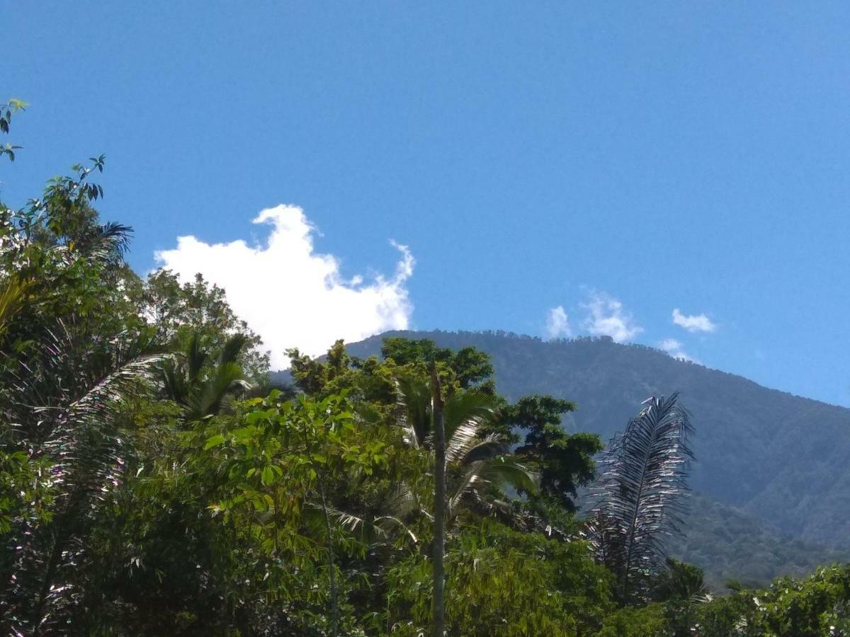 Bali Mountain Forest Cabin Penebel 外观 照片
