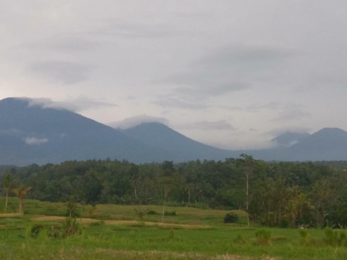 Bali Mountain Forest Cabin Penebel 外观 照片