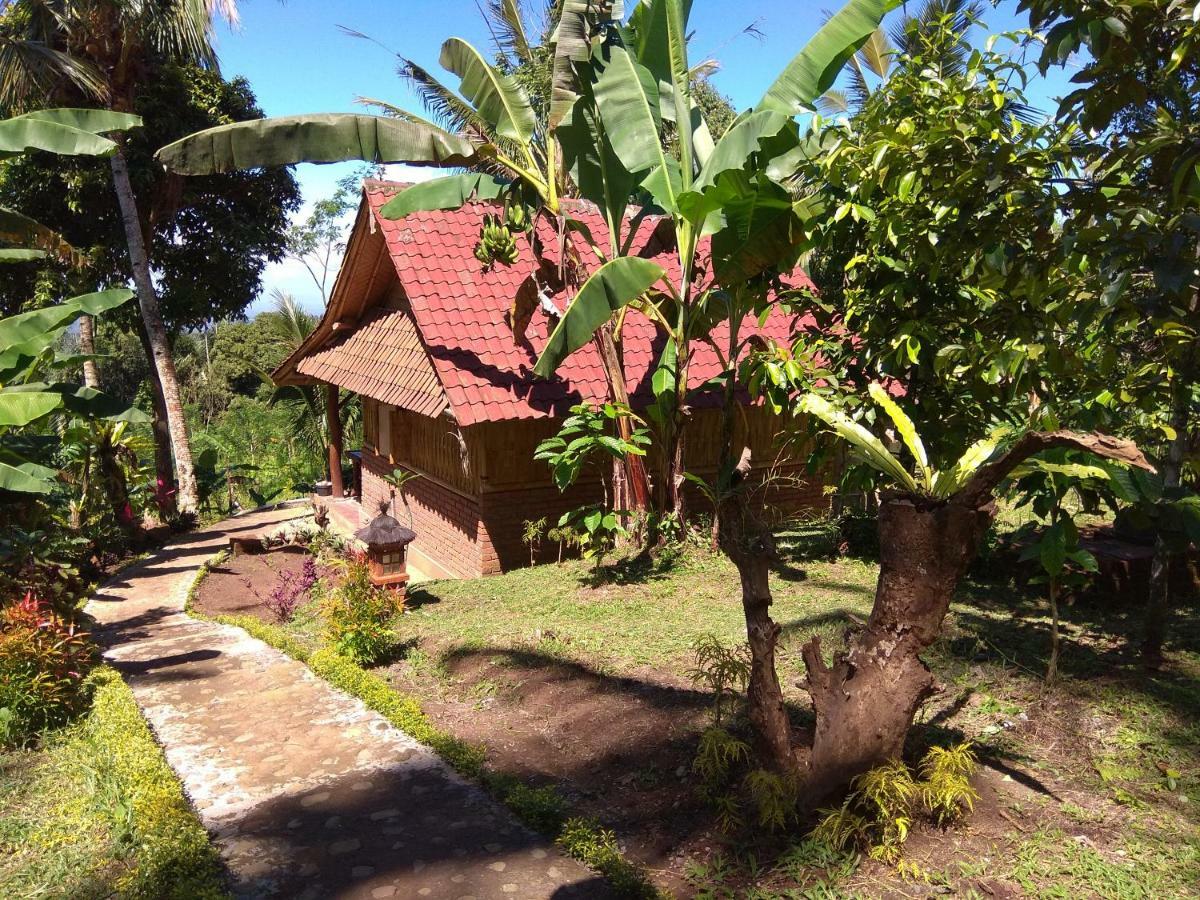 Bali Mountain Forest Cabin Penebel 外观 照片