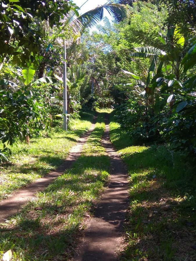 Bali Mountain Forest Cabin Penebel 外观 照片