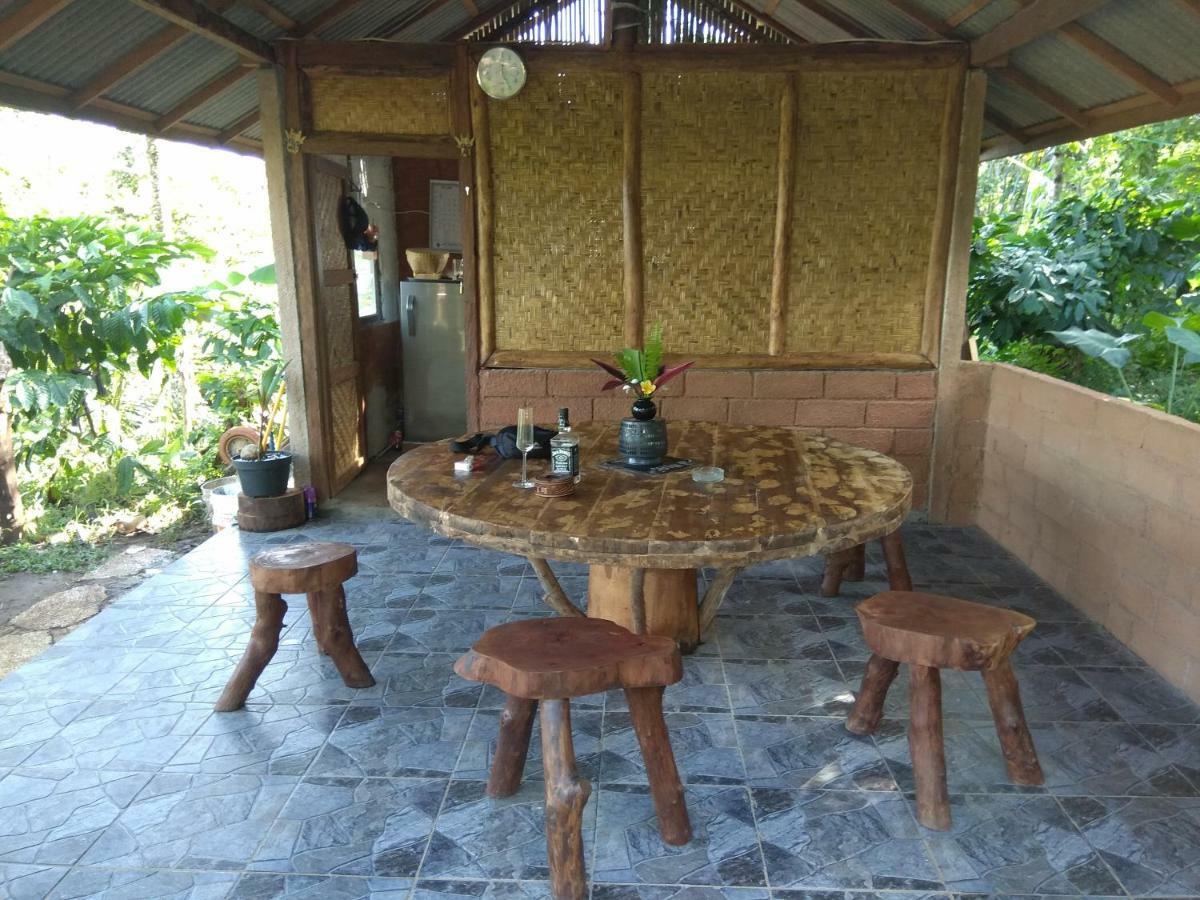 Bali Mountain Forest Cabin Penebel 外观 照片