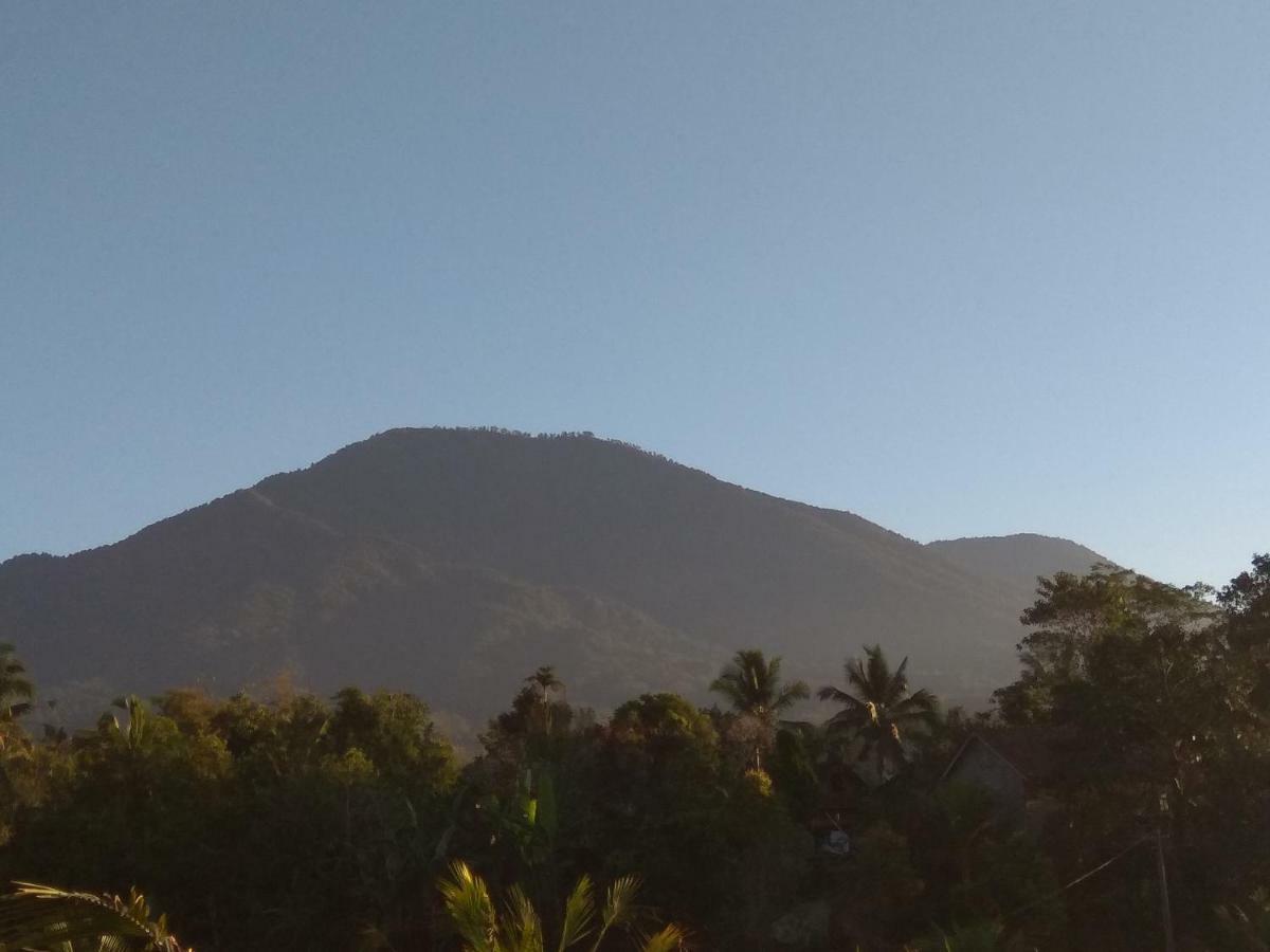 Bali Mountain Forest Cabin Penebel 外观 照片