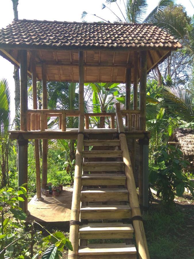 Bali Mountain Forest Cabin Penebel 客房 照片